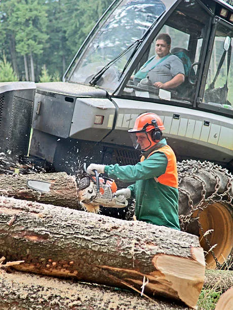 Nr12 máquinas e equipamentos em Cristalina