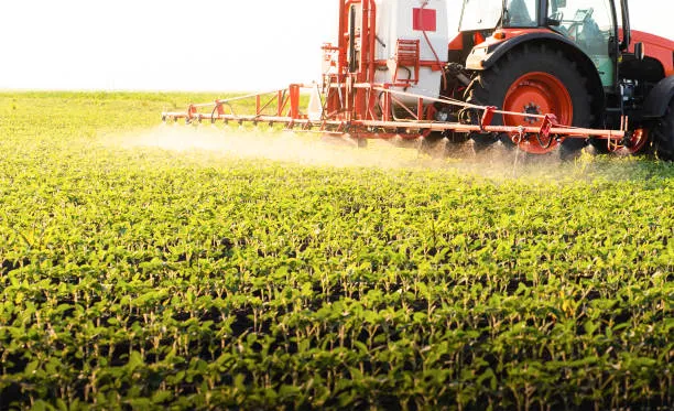 Treinamento nr 31 em Paracatu