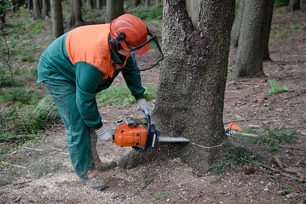 Imagem ilustrativa de Treinamento nr12